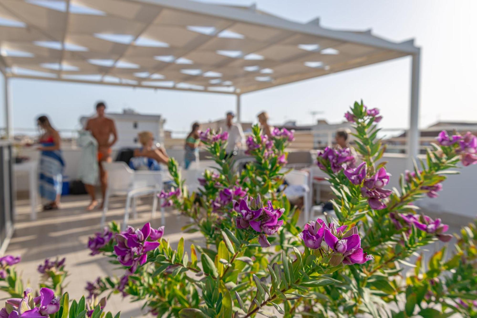 Skyfive Earth Apartment Αλγκέρο Εξωτερικό φωτογραφία